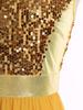 Womens Worship Praise Dance Dress Shiny Sequine Sleeveless Bodice Gradient Mesh Irregular Hem Lyrical Costume
