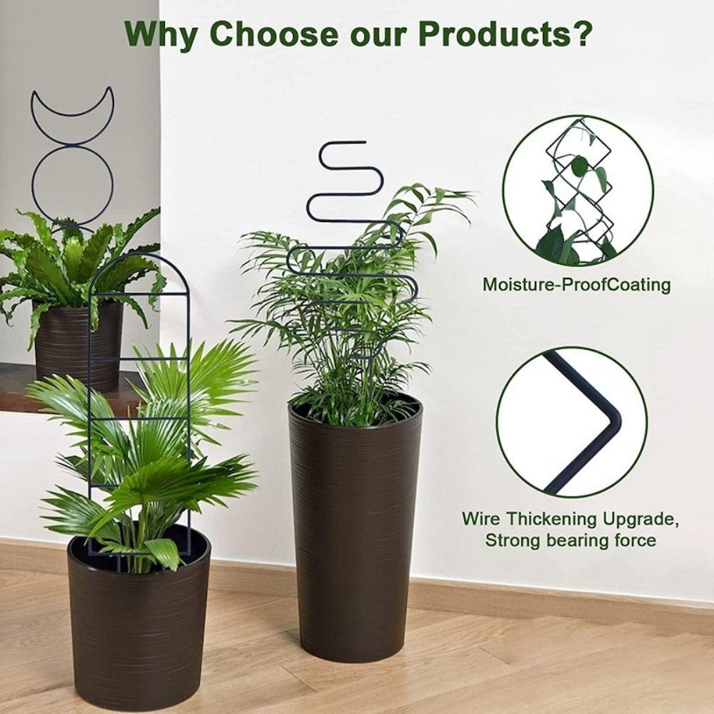 Iron Trellis for Climbing Plants Indoor Vine Ivy Holder Plant Supports  for Houseplants Flowers