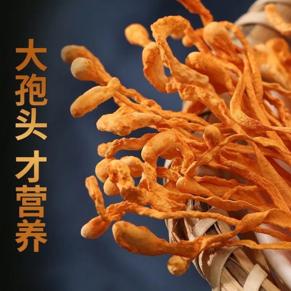 250g Bio Cordyceps Sinensis Dried Herb Natural Energy Booster Tea