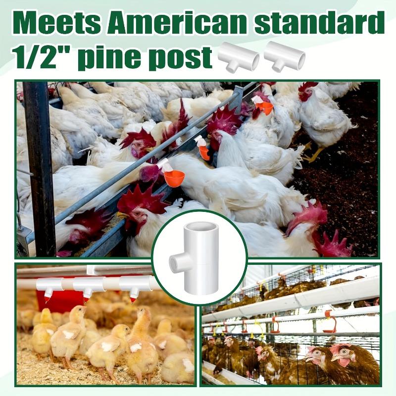 40pcs US Standard White PVC Chicken Drinking Water Tee Fittings Poultry Waterer Accessories for Chicken Duck Goose Water Bowls