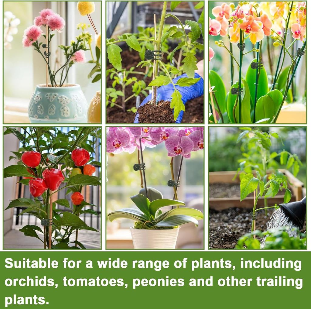 Orchid Support Clips Plastic Garden Plant Growing Fixed Clip Flower Stems Tied Bundle Branch Tomato Grape Vine Climbing Tools