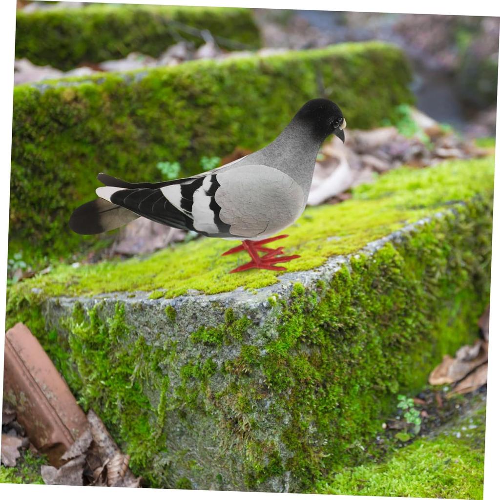5Pcs Realistic Simulation Pigeon Models Imitation Pigeons for Home and Garden Decor Lifelike Ornamental Birds for Indoor and Outdoor Use for