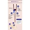 Ishida Chopsticks Support, Proper Chopsticks for Adults, 23cm, Left-Handed