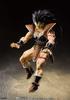 Raditz S.H.Figuarts
