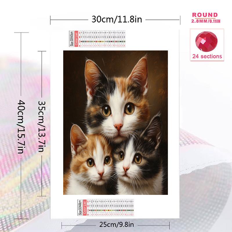 Calico cat Pattern 3pcs 100% Round Full Drill 5D DIY Diamond Painting Embroidery Cross Stitch Rhinestone Décor