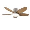 Household Bedroom Electric Ceiling Fan Light Quiet Frequency Conversion Ceiling Fan Lamp Living Room LED Lighting Fan