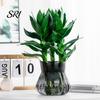Lazy Gardener Flowerpot Self-watering with Self-absorbing Cotton Rope Creative Plastic Plant Pot Indoor Vertical Grain Glass Planter Inner Cup