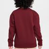 Nike Kids Sweatshirts Crew Neck Moderate FZ6425-677
