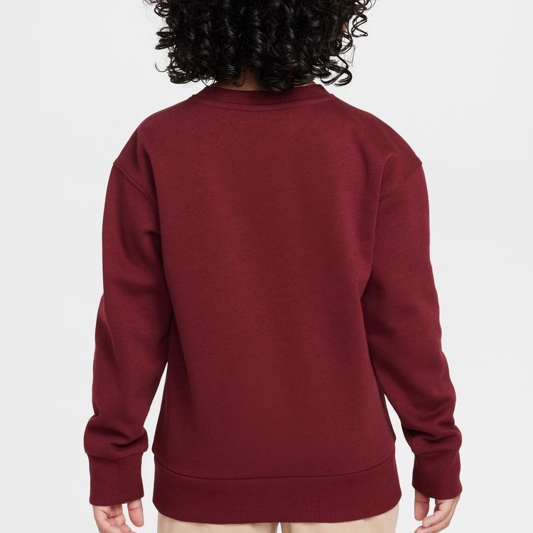 Nike Kids Sweatshirts Crew Neck Moderate FZ6425-677