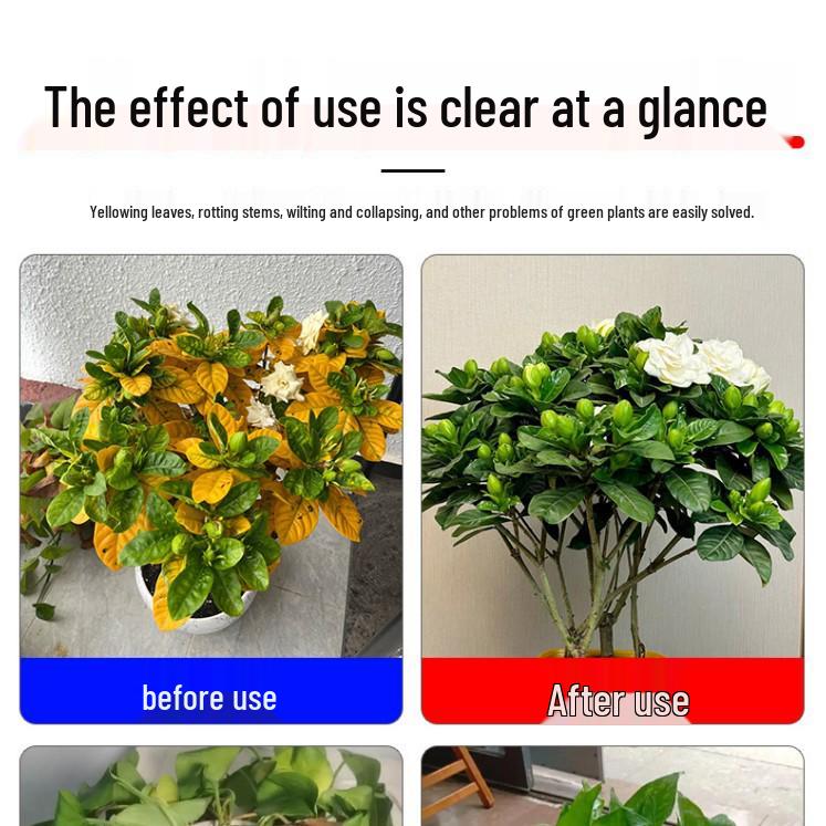 Universal Liquid Fertilizer for Flowers, Green Plants, Hydroponics, Succulents, and Potted Money Trees