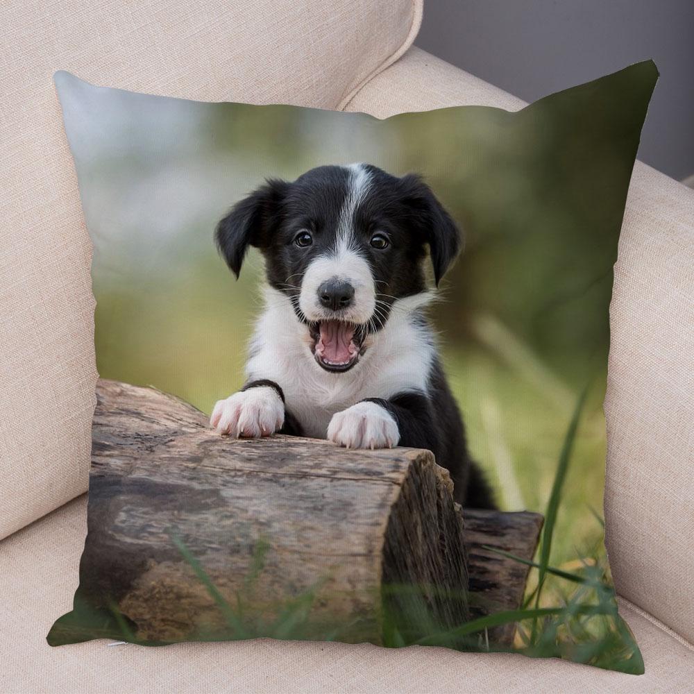 Cute Pet Animal Dog Print Pillowcase Scottish Border Collie Cushion Cover  Sofa Car Decoration