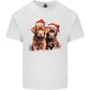 Üst Kıyafetler – T-shirtler