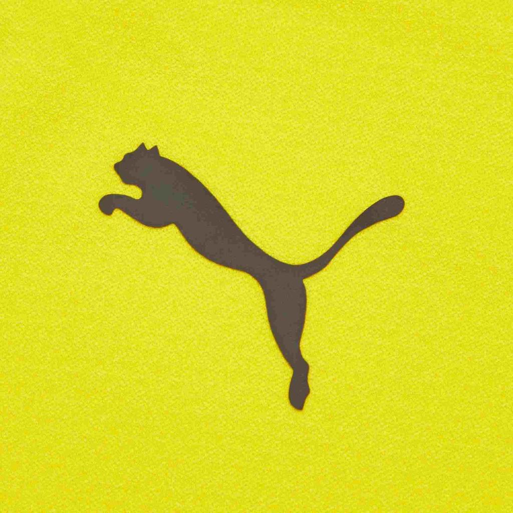 Puma Fotbalová mikina Borussia Dortmund se stojáčkem a dlouhým rukávem Pánské svrchní oblečení Žlutá 758582-01