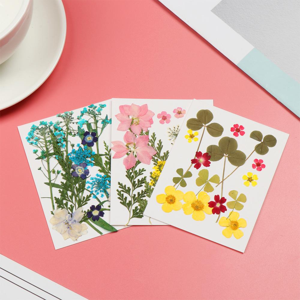 Photo Props Jewelry Making Dried Flowers Beauty Decal Resin Mold Filling Flower Resin Filler