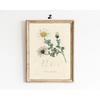 Botanical Vintage Prints Painitng Decoration Botanical Fern Wall Art Posters Modern Flower Wall Art Gift Print Home Room Decor