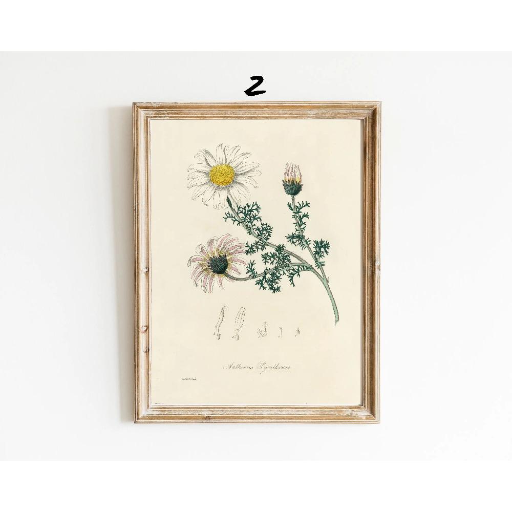 Botanical Vintage Prints Painitng Decoration Botanical Fern Wall Art Posters Modern Flower Wall Art Gift Print Home Room Decor