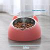 Cat Ear Shaped Elevated Stainless Steel Pet Bowl Non-Slip Scratch Resistant Feeder for Small Cat Dog Food Water