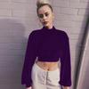 2025 Autumn/Winter Women's High Neck Velvet Cropped Hoodie - Slim Fit Long Sleeve Top