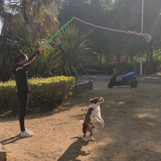 1 Set Dog Stick Rod Bite Toy Extendable Grip Dogs Resistant Comfortable IQ Training Braided Cotton Rope Dog Interactive