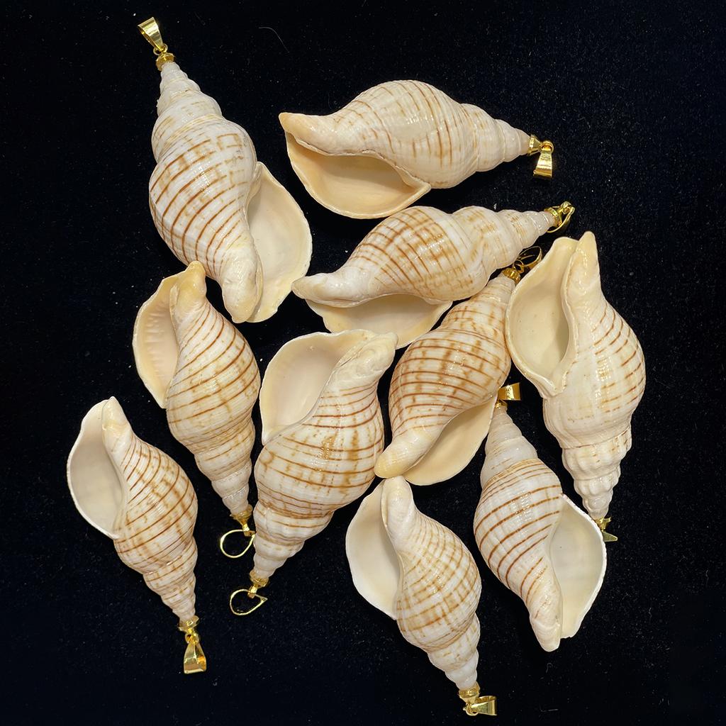 10Pcs Natural Small Triton Shell Charms 20×40~25×53mm Striped Seashell Pendants With Gold Bail Beach DIY Jewelry