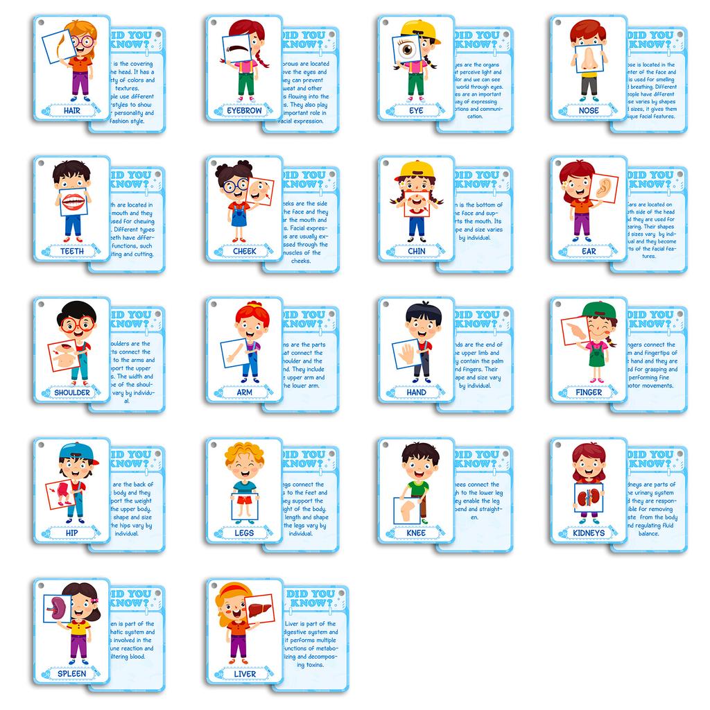 Non-Toxic 36Pcs Body Parts Flash Card Early Education Picture Recognition English Flash Card Educational Toys For Children Kids