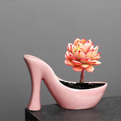 1Pcs ? Garden Succulen Shoe Flowerpot Ceramic High Heels Shoe Planter Indoor Flower Pot Various