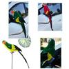 Multicolor Artificial Bird Model Foam Garden Decorative Bird Simulation Parrot  Garden Ornament