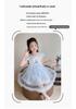 Frozen Elsa Princess Dress - Girls' Puffy Mesh Summer Party Dress 2026.