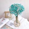 Party Small Photo Backdrop Natural Pressed Dried Flowers Dry Flower Babysbreath Bouquet Gypsophila