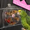 5 Compartments Birds Foraging Wheels Acrylic Parrot Puzzle Feeder Birds Grid Food Box  Cockatiel