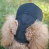 Dog Hat Outdoor Sun Protection Puppy Hat Adjustable Drawstring Pet Headwear With Ear Holes For Small To Large Breeds Animals Hot