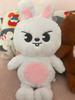Big Karma Plush Toys Fans Animals Stuffed Plushie Doll Kawaii Companion for Kids Adults Fans Gift Room Decor Gift