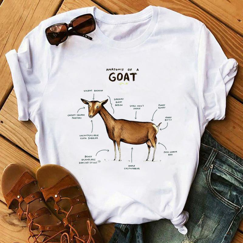 Harajuku Kawaii Tshirt Anatomia Da Raposa Gato Grfico Tees Das Mulheres Tops Esttica T Shirt Tripulao Pescoo Roupas De Vero Para As Mulheres