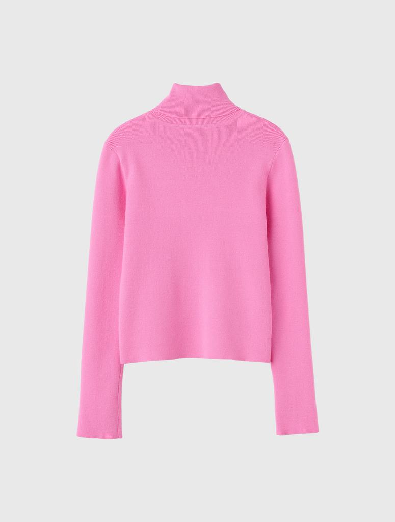 GENERALIDEA Daily Ribbed Turtleneck Pullover [Pink] / Wbe4L05525