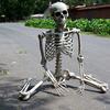 Halloween Skeleton Prop Human Full Size  Hand Life Body Anatomy Model Decor