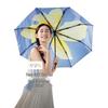 Accessoires – Regenschirme