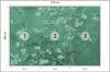 Photomural Van Gogh Blossoms In Green Iq-1261-C Self-Adhesive Mural 270x180