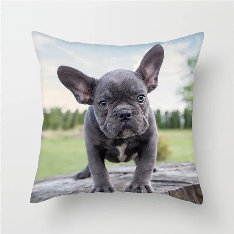 French Bulldog Polyester Cushion Cover Animal Dog Printed Pillow Cover For Sofa Home Living Room Decorative Pillowcase 45X45Cm