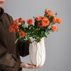 Xiaohongshu Keramisk Vas Kreativ Specialformad Blomsterarrangemang Prydnad Hem Skrivbordsdekoration Hantverk