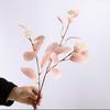 Nordic Style Fake Flower Decoration Simulation Eucalyptus Money Leaf Branch Eucalyptus Leaf Flower Arrangement Green Plant Floral Ornament