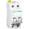 Isolating Switch iSW-40-2 40A 2-pole