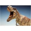 Pegasus Hobby 1/24 Tyrannosaurus Rex