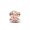 New 925 Silver Summer Coin Twelve Constellation Carving Hang Tag Charm Beads Suitable for Bracelets, Necklaces, Fashion Jewelry