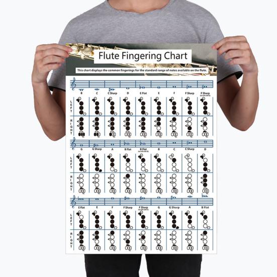 Tabla profesional de digitación de acordes de flauta de guitarra comprar a  buen precio — entrega gratuita, reseñas reales con fotos — Joom