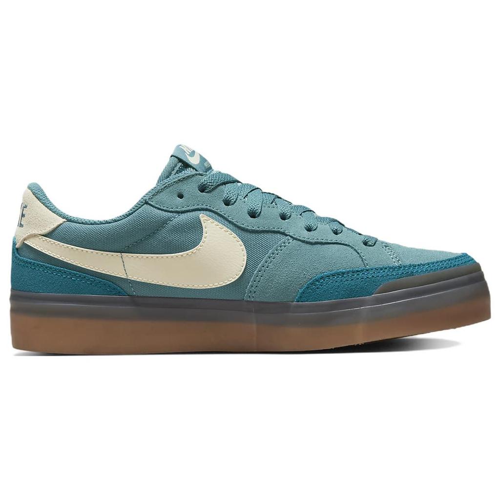 New Nike Sb Zoom Pogo Plus Noise Aqua Women's DV5469-401