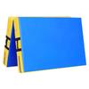 Foldable Martial Arts Gymnastics High Jump Mat