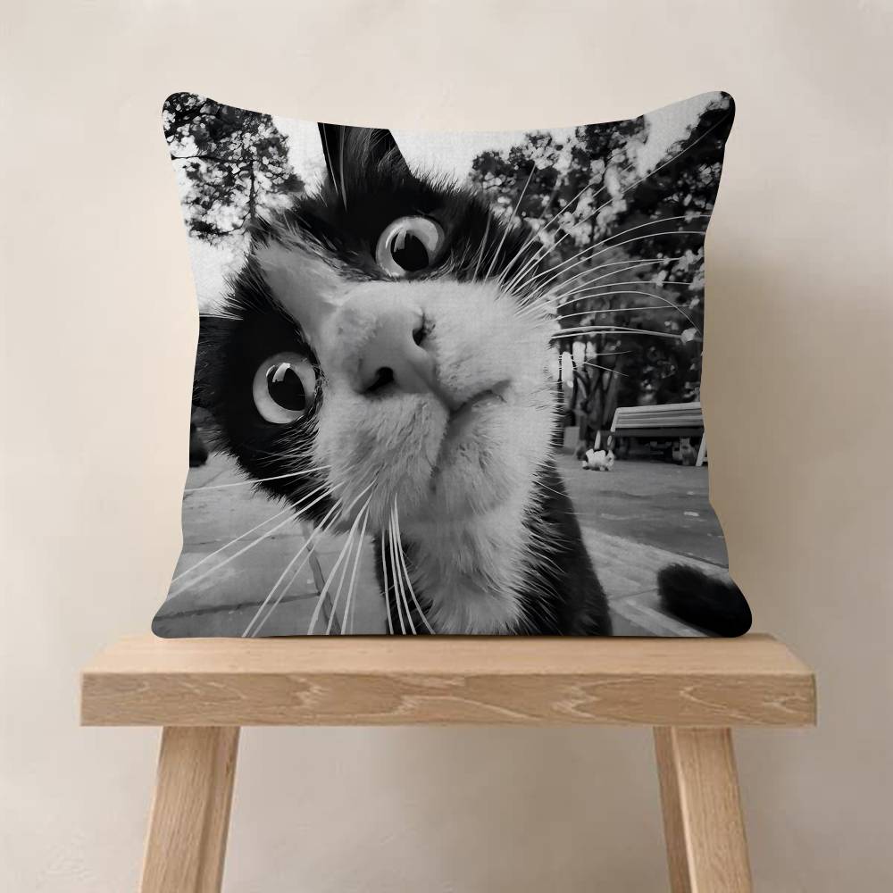 Cute Cat Pillow Gift Home Office Decoration Bedroom Sofa Car Cushion Cover Case 45x45
