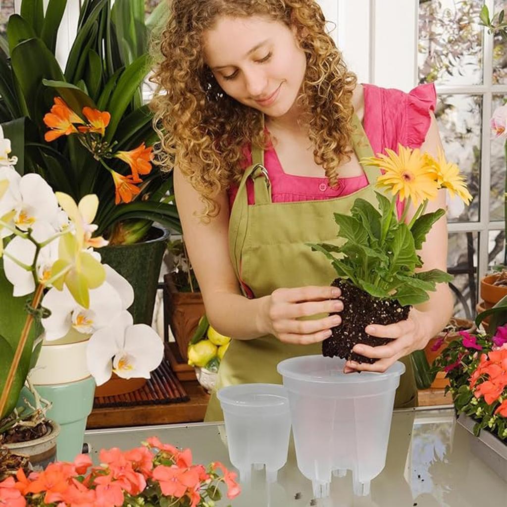 Průhledná, prodyšná, zesílená plastová květináčová rostlina s kontrolou kořenů pro Phalaenopsis