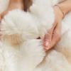 1PC Super Soft Plush Pillow Case Winter Throw Cushion Cover for Sofa and Bedside Living Room Nordic Decorations Pillowcase