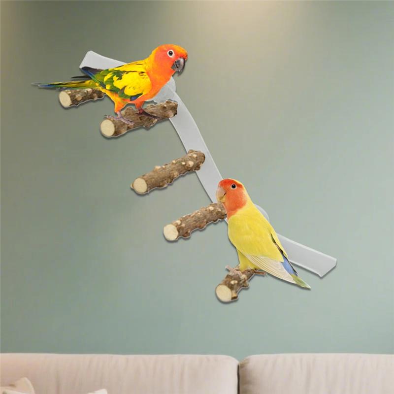

A25F-For Wall Mounted Bird Cage For Parrot Parakeet Cockatiel Conure Bird Perch Climbing Ramp Suction Cup Space-Saving Design